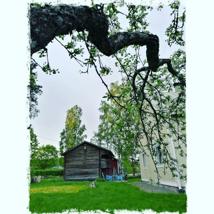 Willa Mustijoki Laukkoski Exterior foto